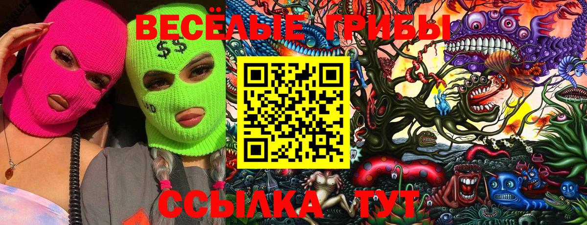 Обь  Галлюциногенные грибы мицелий  Псилоцибиновые грибы мухоморы  Вход с VPN 